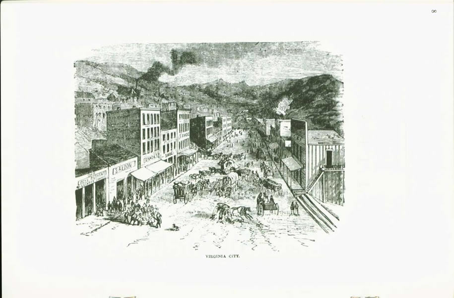 The Murder of Julia Bulette: Virginia City, Nevada; 1867--with the life and confession of John Millian, convicted murderer. vist0044e